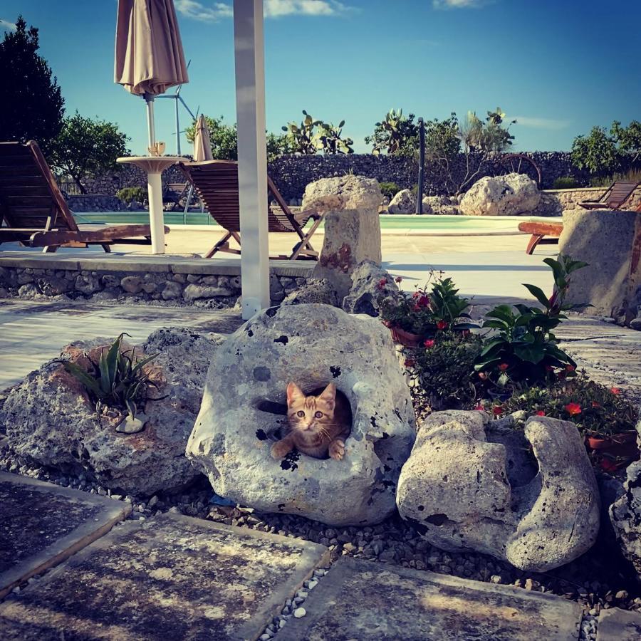 Agriturismo Masseria Saittole การ์ปิญาโน ซาเลนติโน ภายนอก รูปภาพ