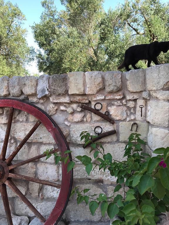 Agriturismo Masseria Saittole การ์ปิญาโน ซาเลนติโน ภายนอก รูปภาพ